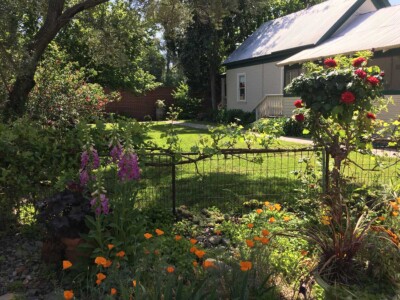 Murer House Gardens and Learning Center, Folsom California
